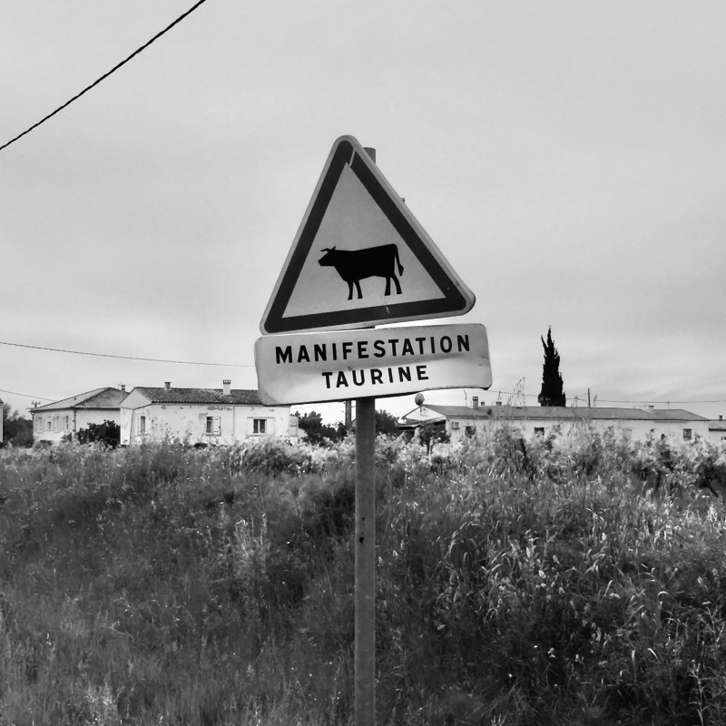 Panneaux : attention aux manifestations taurines (Photo de Ilona Bellotto @Unsplash)